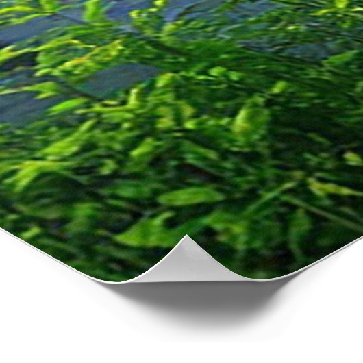 Dramatische Blitzschläge über einen ruhigen Wald Poster (Ecke)