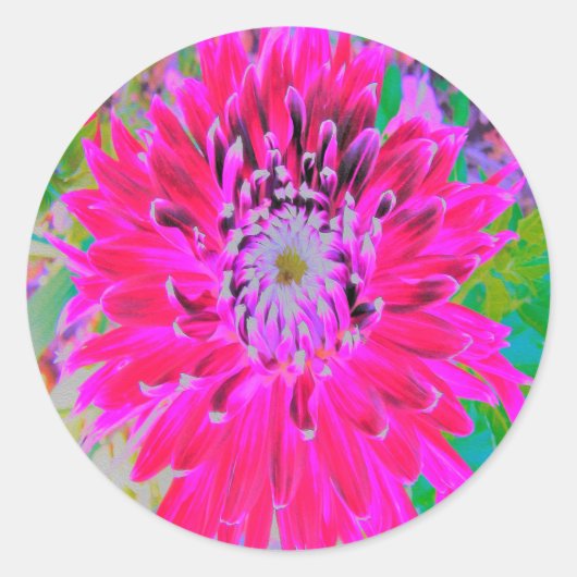 Dramatische Blume Crimson Red and Pink Dahlia Runder Aufkleber (Vorderseite)