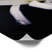 Dramatische Daisy-Blume Poster (Ecke)