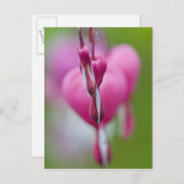 Dramatische Farbe und Form des blutenden Herzens Postkarte (Vorne/Hinten)