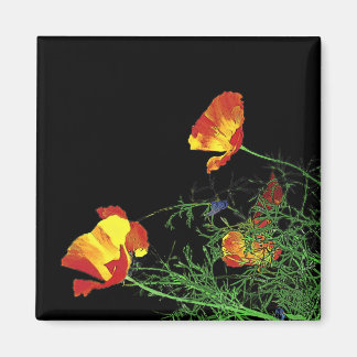 dramatische kalifornische Pappkuchen auf schwarz Magnet