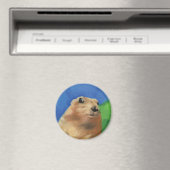 Dramatischer Chipmunk Magnet (In Situ (Geschirrspüler))