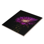 Dramatischer Flatty-Kuchen Fliese (Seite)