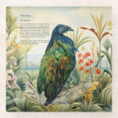 Dramatischer, handgemalter Nicobar-Taube Glasuntersetzer (Vorderseite)