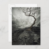 Dramatischer Himmel über dem alten einsamen Baum Postkarte (Vorne/Hinten)