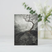 Dramatischer Himmel über dem alten einsamen Baum Postkarte (Stehend Vorderseite)