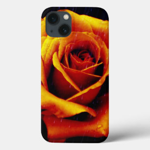Dramatischer iPad-Etasche Orange Rose Case-Mate iPhone Hülle