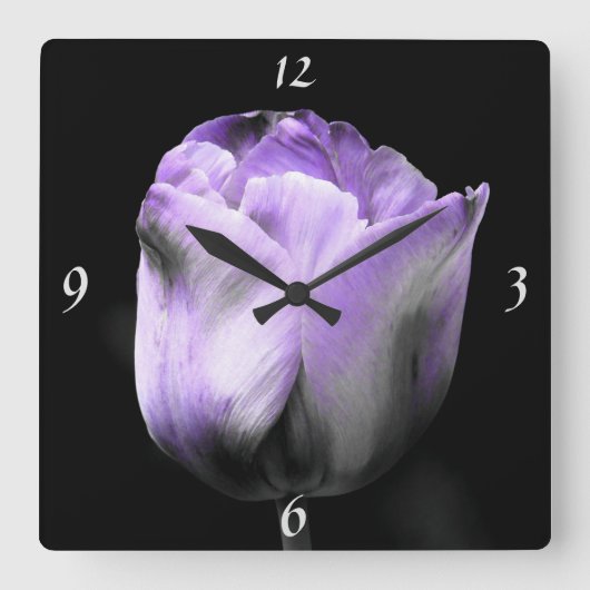 Dramatischer Lavendel Lila N Silver Tulip auf schw Quadratische Wanduhr (Vorderseite)