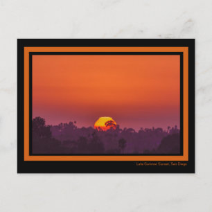 Dramatischer Orange Sonnenuntergang Palme Tree Sun Postkarte