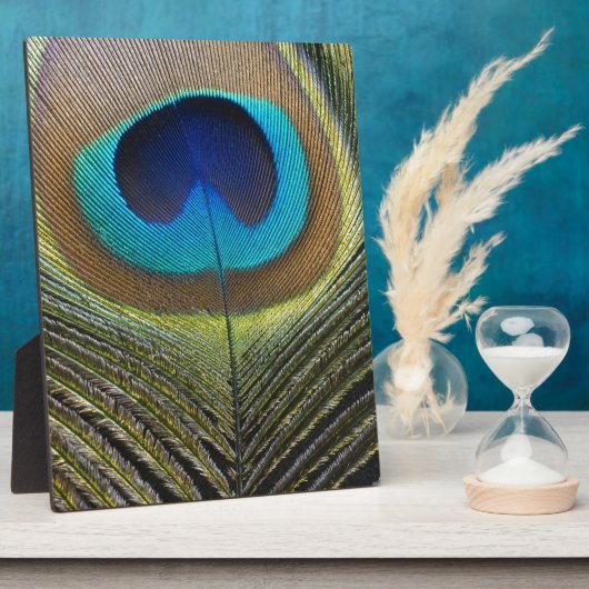 Dramatischer Pfauenfuather Fotoplatte (Seite)