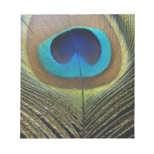 Dramatischer Pfauenfuather Notizblock