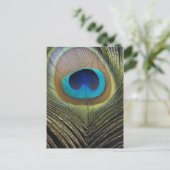 Dramatischer Pfauenfuather Postkarte (Stehend Vorderseite)