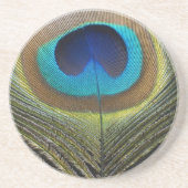 Dramatischer Pfauenfuather Untersetzer (Vorne)