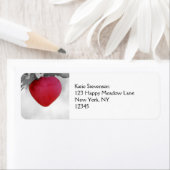 Dramatischer Red Heart Shape Apple (Insitu)