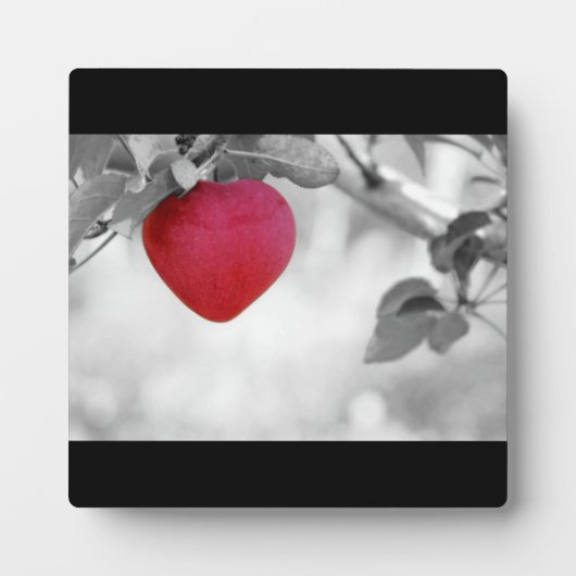Dramatischer Red Heart Shape Apple Fotoplatte (Vorderseite)