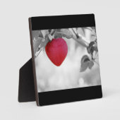 Dramatischer Red Heart Shape Apple Fotoplatte (Vorderseite)