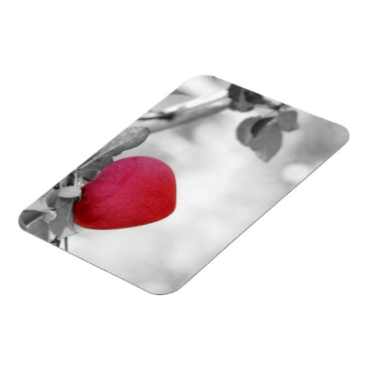 Dramatischer Red Heart Shape Apple Magnet (Linke Seite)