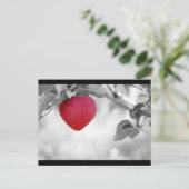 Dramatischer Red Heart Shape Apple Postkarte (Stehend Vorderseite)