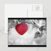 Dramatischer Red Heart Shape Apple Postkarte (Vorne/Hinten)