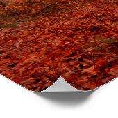 Dramatischer roter Nebel im Winter verschneiten Wa Poster (Ecke)