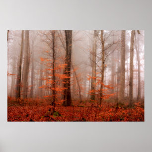 Dramatischer roter Nebel im Winter verschneiten Wa Poster