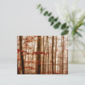 Dramatischer roter Nebel im Winter verschneiten Wa Postkarte (Stehend Vorderseite)