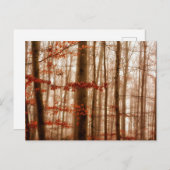 Dramatischer roter Nebel im Winter verschneiten Wa Postkarte (Vorne/Hinten)