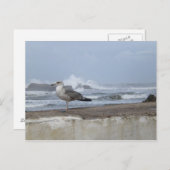 Dramatischer Seagull Postkarte (Vorne/Hinten)