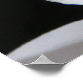 Dramatischer Single Weißer Orchid Blossom auf Schw Poster (Ecke)