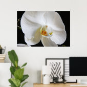 Dramatischer Single Weißer Orchid Blossom auf Schw Poster (Heimbüro)