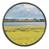 Dramatischer Streatham Beauty Eishockey Puck (Vorderseite)