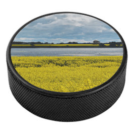 Dramatischer Streatham Beauty Eishockey Puck