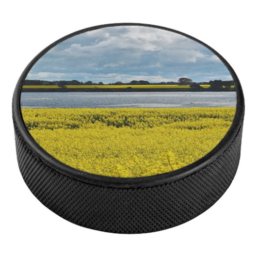 Dramatischer Streatham Beauty Eishockey Puck (3/4)