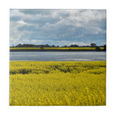 Dramatischer Streatham Beauty Fliese (Vorderseite)