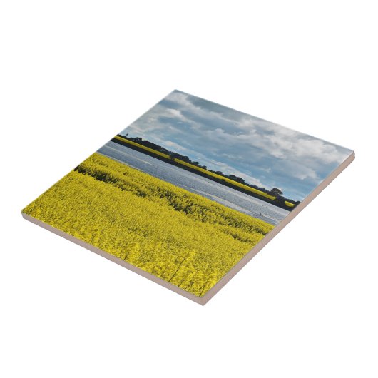 Dramatischer Streatham Beauty Fliese (Seite)