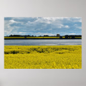 Dramatischer Streatham Beauty Poster (Vorne)