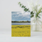 Dramatischer Streatham Beauty Postkarte (Stehend Vorderseite)