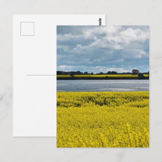 Dramatischer Streatham Beauty Postkarte (Vorne/Hinten)