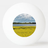 Dramatischer Streatham Beauty Tischtennisball (Rückseite)