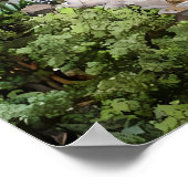 Dramatischer Untergrund Cavern Lake - Light & Form Poster (Ecke)