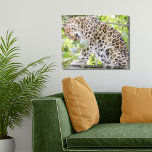 Dramatischer Wildfotograf Leopard Leinwanddruck<br><div class="desc">Ich habe dieses Foto dieses großartigen Leoparden im Zoo gemacht,  mit meinem Zoomobjektiv aus der Ferne,  und ihm schien es egal zu sein. Glücklicherweise!</div>