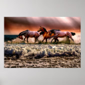 Dramatisches Foto von Pferden, die am Strand laufe Poster (Vorne)