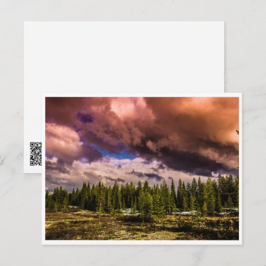 Dramatisches Nordland Postkarte (Vorne/Hinten)