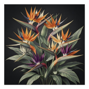 Dramatisches Paradiesvogel-Tropenbouquet Poster