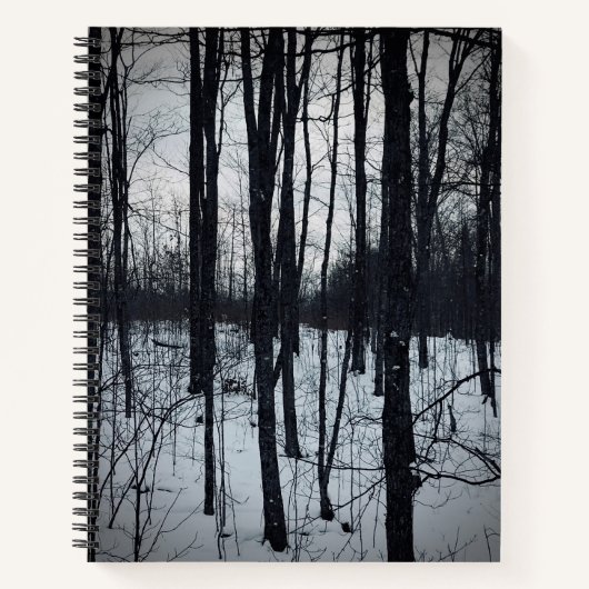 Dramatisches Schwarz-Weiß-Notebook Notizbuch (Vorderseite)