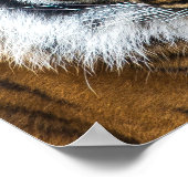 Dramatisches Tigerfeld Poster (Ecke)