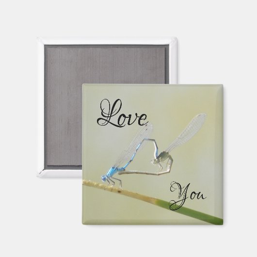 Drangonfische in Liebe Magnet (Vorderseite/Rückseite)