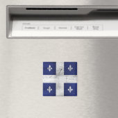 Drapeau du Québec style grunge érodé Magnet (In Situ (Geschirrspüler))