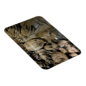 Drapery Formation Paradise Lost, Oregon Caves Magnet (Rechte Seite)
