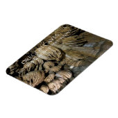 Drapery Formation Paradise Lost, Oregon Caves Magnet (Linke Seite)